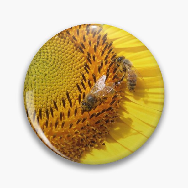 Aperçu de l'œuvre Nectar de tournesol créée et vendue par TheArtist-Leo.