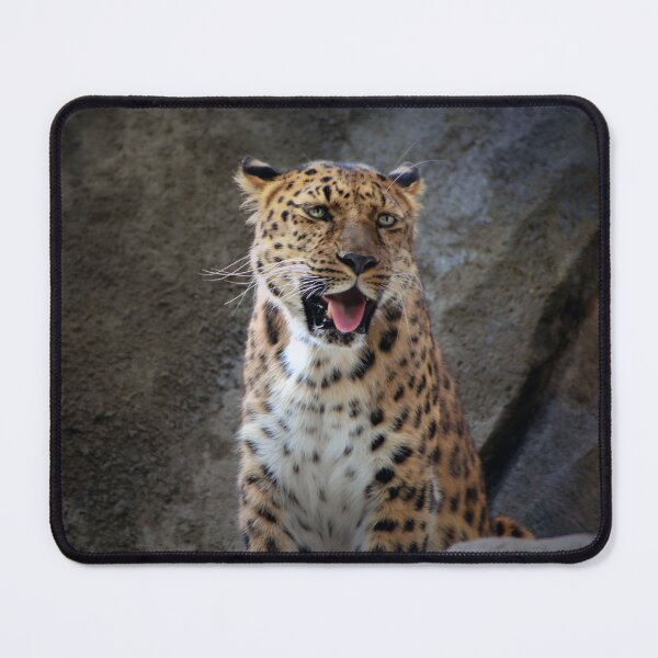 Item preview, Amur Leopard designed and sold by Savannah Gibbs.