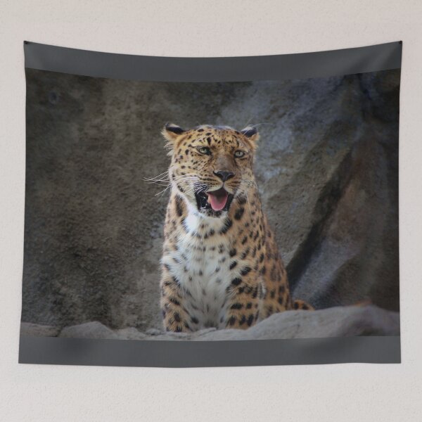 Aperçu de l'œuvre Amur Leopard créée et vendue par Savannah Gibbs.