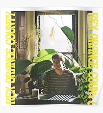 rex orange county Poster