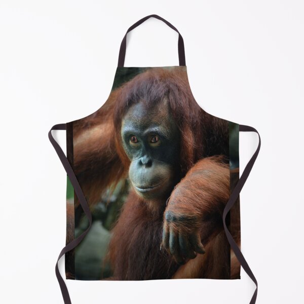 Item preview, Aurora designed and sold by Savannah Gibbs.