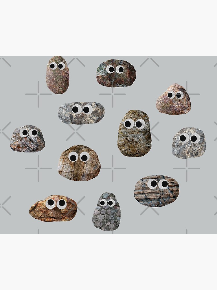 "Rocks with Googly Eyes" Poster by amymh Redbubble