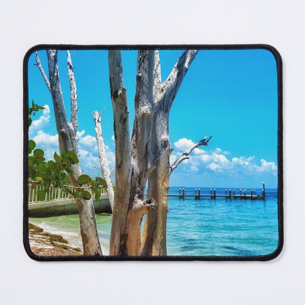 Item preview, Gasparilla designed and sold by kinkatstyle.