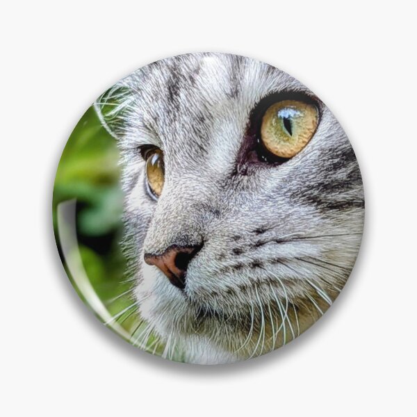 Item preview, Mainecoon cat in nature designed and sold by Fluffycat2020.