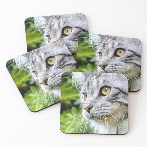 Item preview, Mainecoon cat in nature designed and sold by Fluffycat2020.