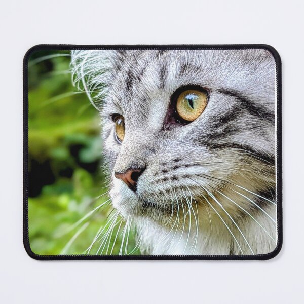 Item preview, Mainecoon cat in nature designed and sold by Fluffycat2020.