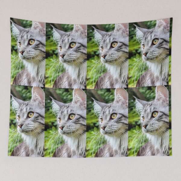 Item preview, Mainecoon cat in nature designed and sold by Fluffycat2020.