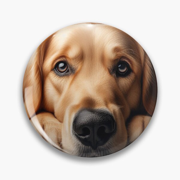 Item preview, Down Stay Golden Retriever designed and sold by PamsAIArt.
