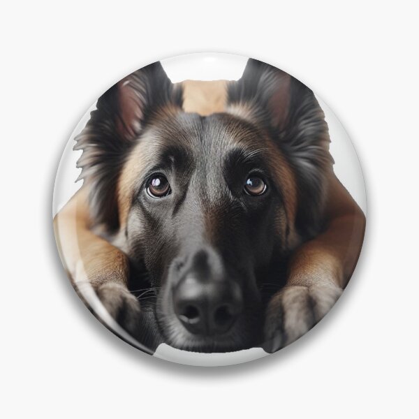 Item preview, Down Stay Malinoise designed and sold by PamsAIArt.