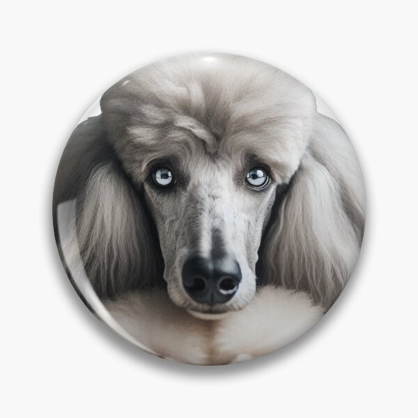 Item preview, Down Stay Poodle designed and sold by PamsAIArt.