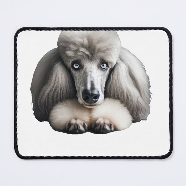 Item preview, Down Stay Poodle designed and sold by PamsAIArt.