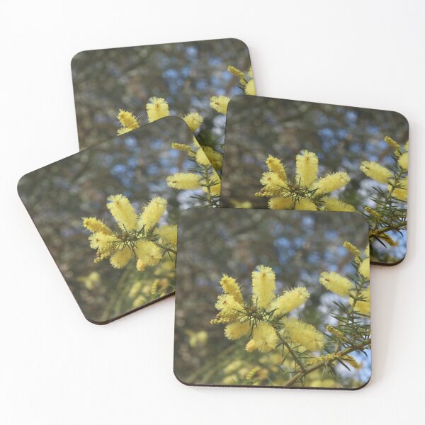 Item preview, Branches of Snowy River Wattle Flowers designed and sold by Honey Myrtle Studio.