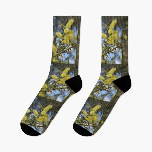 Item preview, Branches of Snowy River Wattle Flowers designed and sold by Honey Myrtle Studio.
