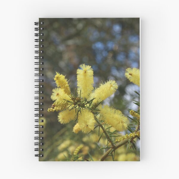 Item preview, Branches of Snowy River Wattle Flowers designed and sold by Honey Myrtle Studio.