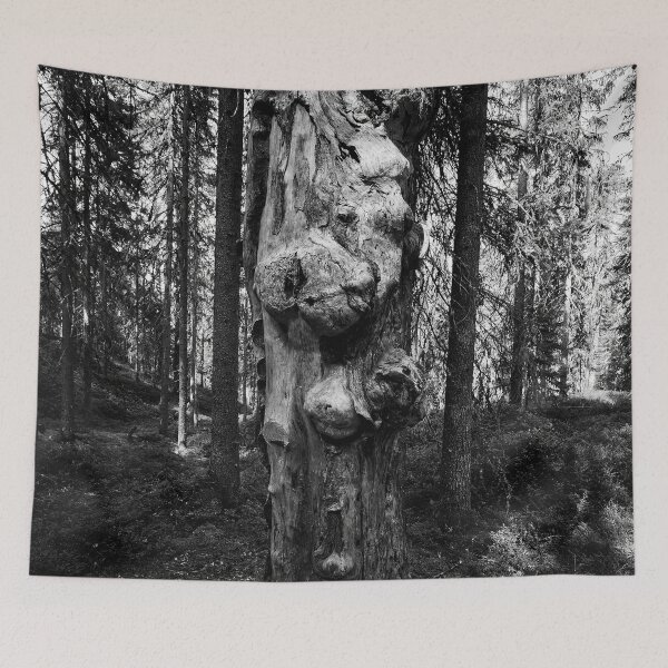 Item preview, Gnarls. Seitseminen 2024 bw designed and sold by Jouko Lehto Photography.