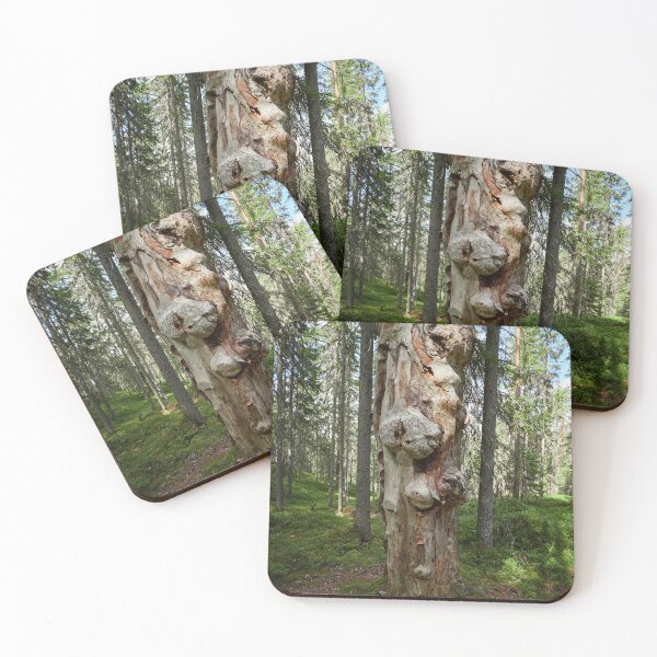 Item preview, Gnarls. Seitseminen 2024 designed and sold by Jouko Lehto Photography.