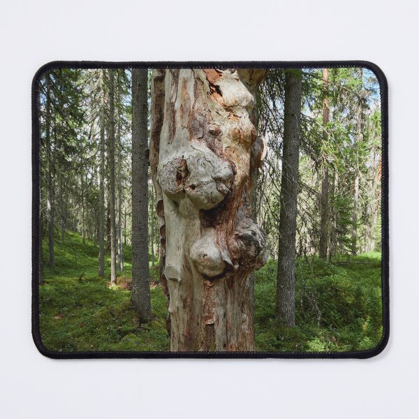 Item preview, Gnarls. Seitseminen 2024 designed and sold by Jouko Lehto Photography.
