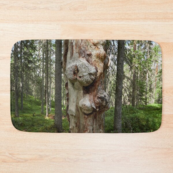 Item preview, Gnarls. Seitseminen 2024 designed and sold by Jouko Lehto Photography.