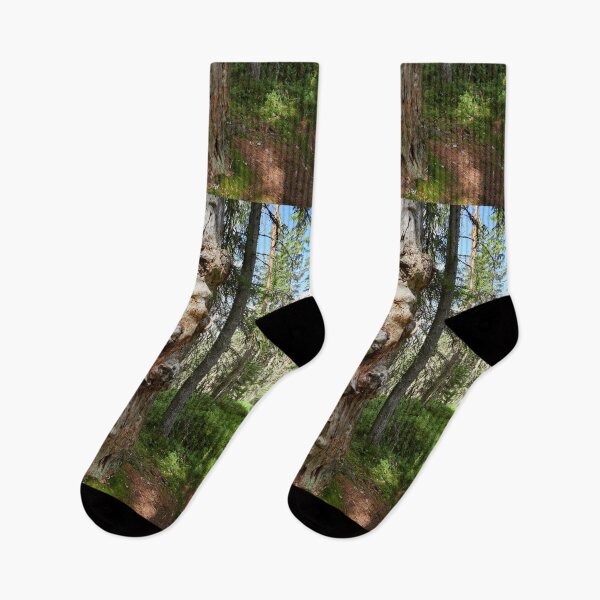 Item preview, Gnarls. Seitseminen 2024 designed and sold by Jouko Lehto Photography.