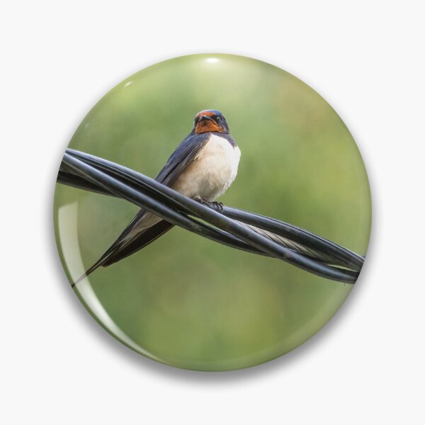 Item preview, Barn Swallow on a Wire designed and sold by ansaharju.