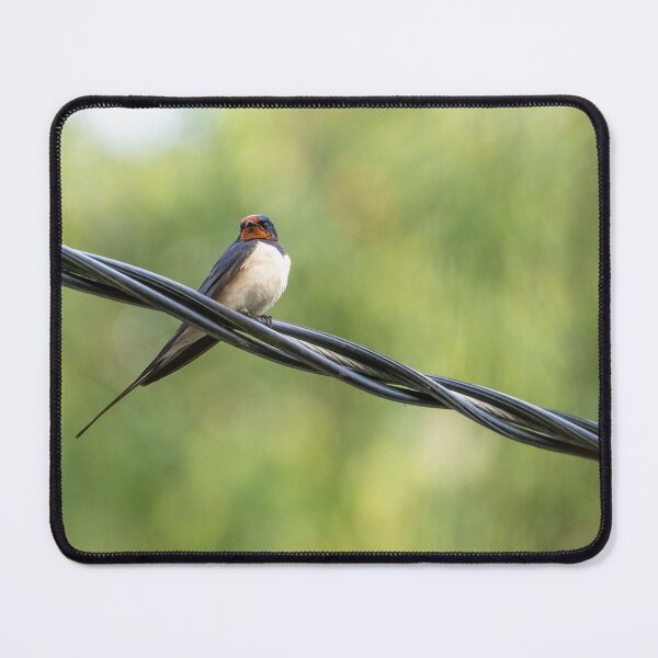 Item preview, Barn Swallow on a Wire designed and sold by ansaharju.