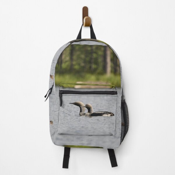 Item preview, Taking care of the young ones. Black-throated loon 2 designed and sold by Jouko Lehto Photography.
