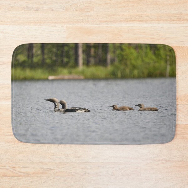 Item preview, Taking care of the young ones. Black-throated loon 2 designed and sold by Jouko Lehto Photography.