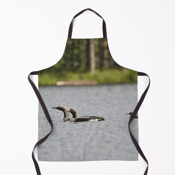 Item preview, Taking care of the young ones. Black-throated loon 2 designed and sold by Jouko Lehto Photography.
