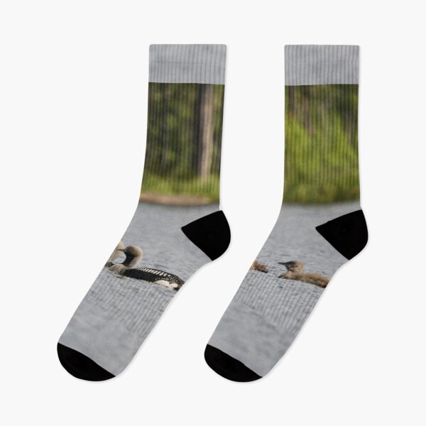 Item preview, Taking care of the young ones. Black-throated loon 2 designed and sold by Jouko Lehto Photography.