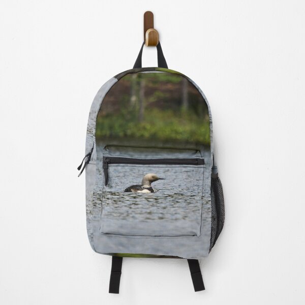 Item preview, Sunshine. Black-throated loon designed and sold by Jouko Lehto Photography.