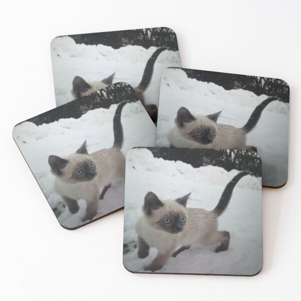 Item preview, Cat Nap in a Sunbeam designed and sold by Hestercat.