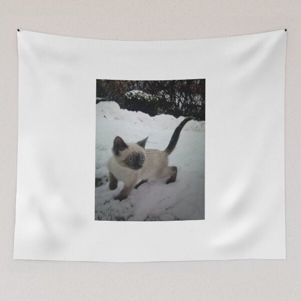 Item preview, Cat Nap in a Sunbeam designed and sold by Hestercat.