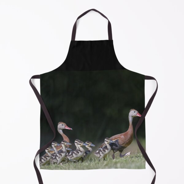 Item preview, Black-bellied whistling duck with its babies designed and sold by Puttaswamy Ravishankar.