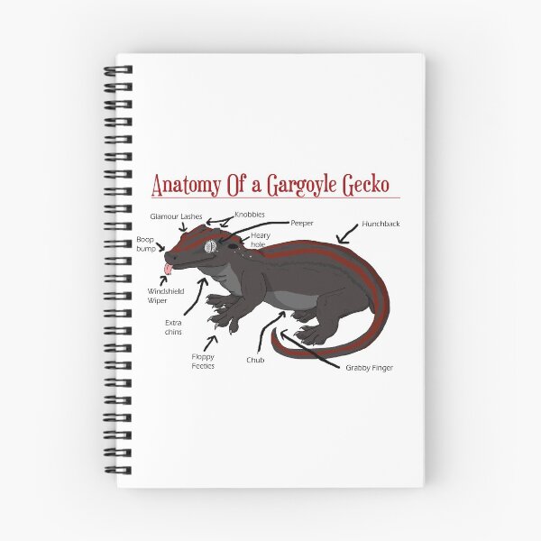 Item preview, Anatomy of a Gargoyle Gecko designed and sold by christywoowoo.
