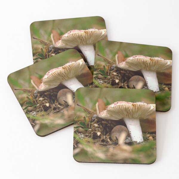 Item preview, Fungi designed and sold by MercerImages.