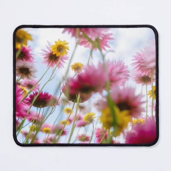 Item preview, Daisy Sunlight designed and sold by yolanda.