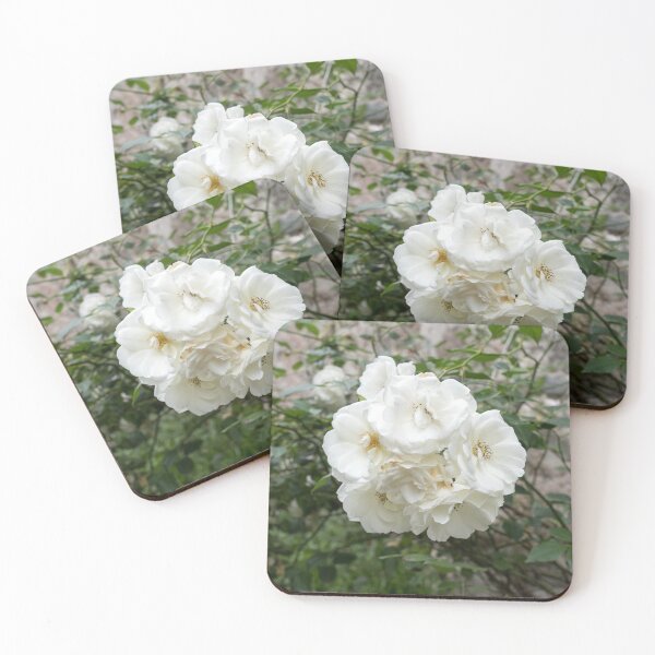 Item preview, Fully Bloomed Cluster of White Roses designed and sold by Georgia Mizuleva.