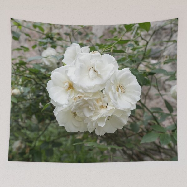 Item preview, Fully Bloomed Cluster of White Roses designed and sold by Georgia Mizuleva.