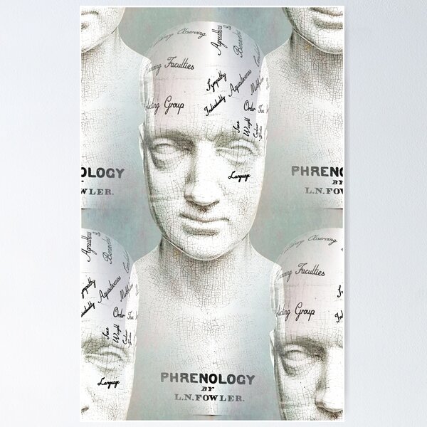 Item preview, Phrenology designed and sold by Bondillero.