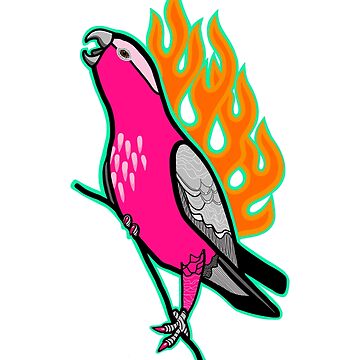 Artwork thumbnail, Flaming Galah by KatScarlet