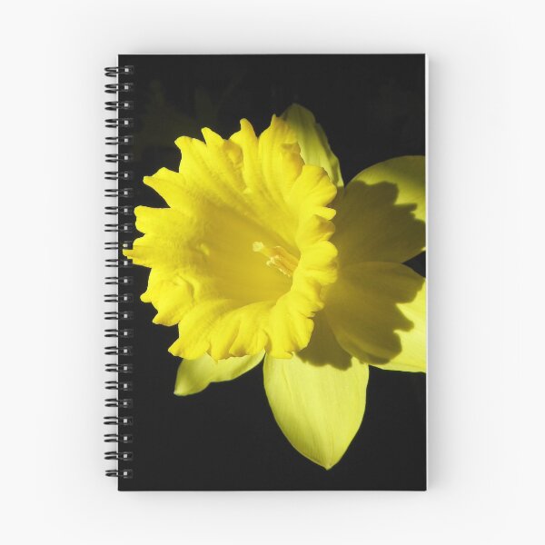 Item preview, Bright Daffodil designed and sold by MaryinMaine.