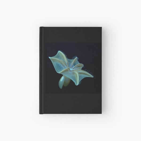 Mysterious Dumbo Octopus Hardcover Journal