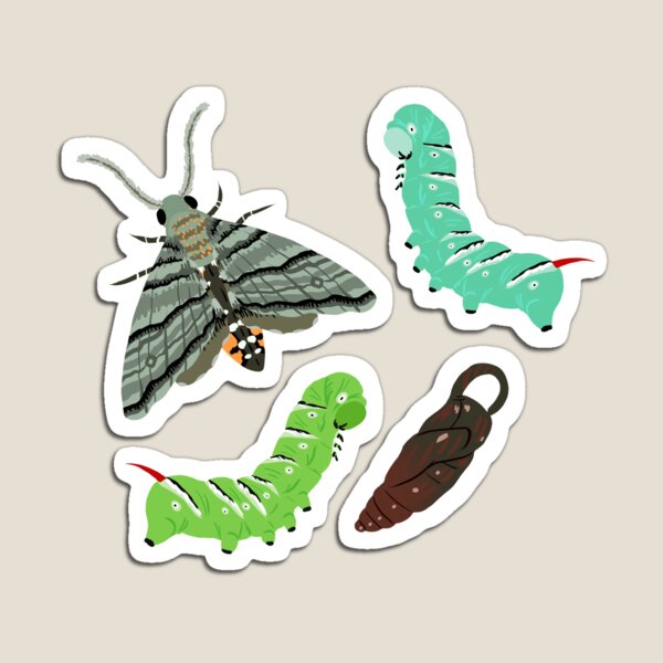 Tobacco muncher Magnet