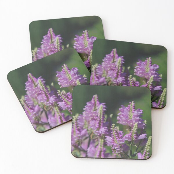 Item preview, Obedient Plant designed and sold by MossStitch.