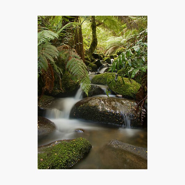 Serenity Photographic Print