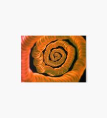 ©NLE Espiral Art Board