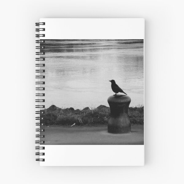 Item preview, A raven by the river designed and sold by ZoffArt-Shop.
