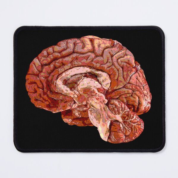 Item preview, Brain designed and sold by Wyyrmwood.