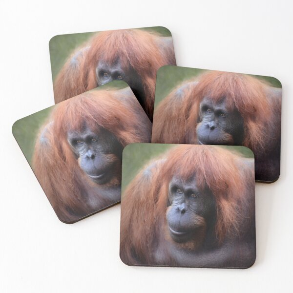 Item preview, A Female Bornean Orangutan designed and sold by Savannah Gibbs.