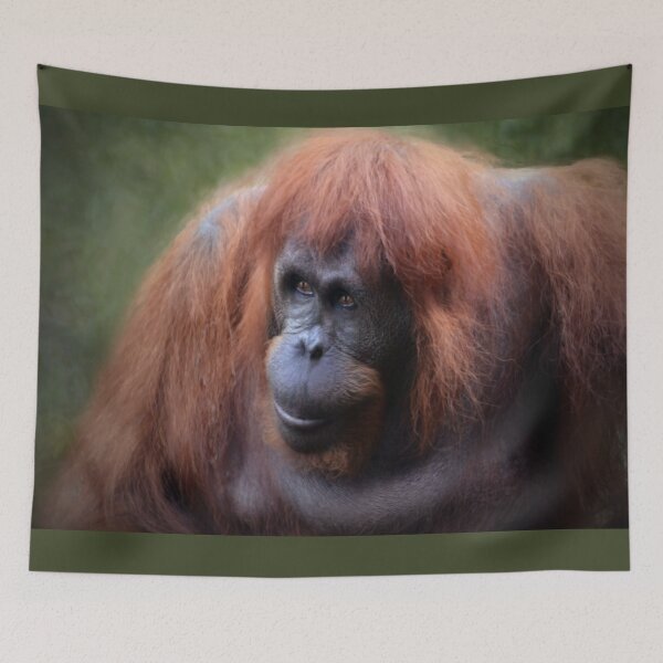 Item preview, A Female Bornean Orangutan designed and sold by Savannah Gibbs.